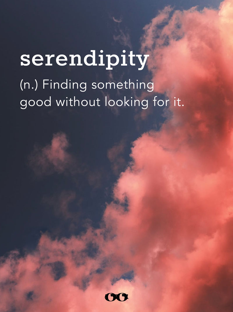 Jaký je význam serendipitous?